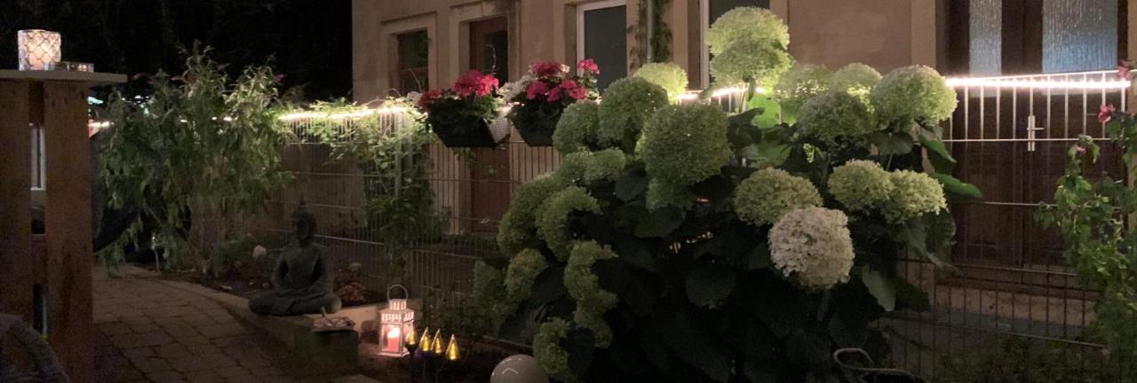 Appartement Im Hinterhoefchen Pirna Eksteriør bilde
