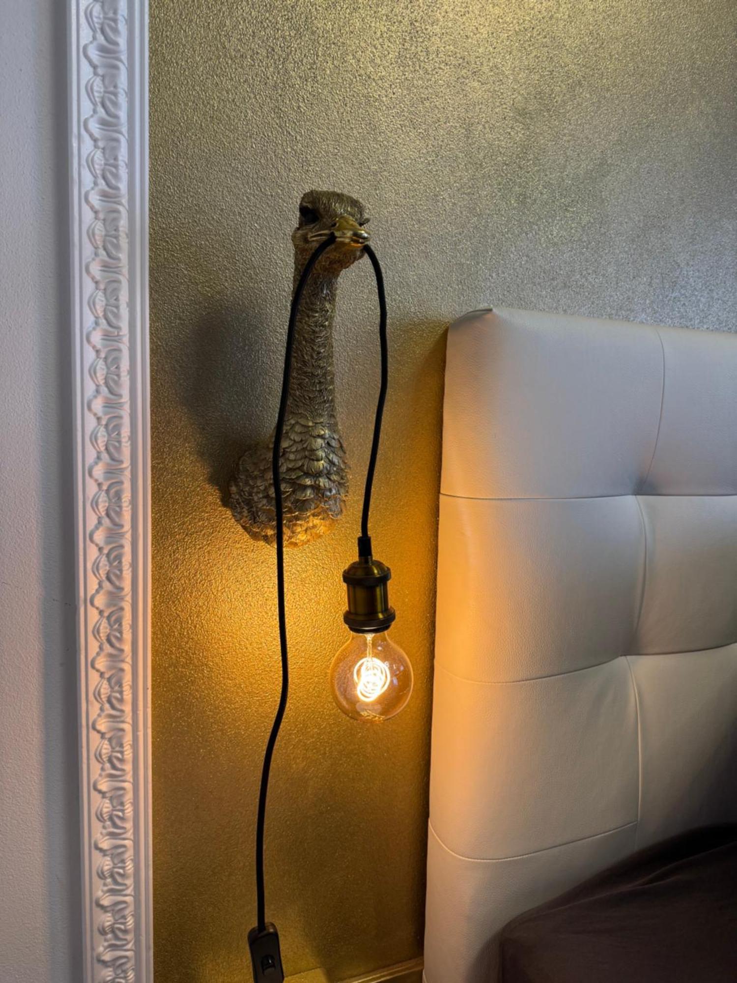 Appartement Im Hinterhoefchen Pirna Eksteriør bilde